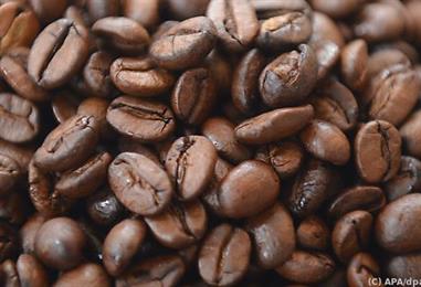 Bild: Klimawandel bereitet Kaffeeindustrie Sorgen