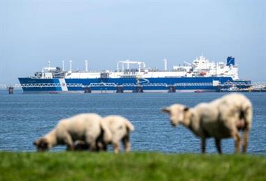 Bild: EU will verbliebene Gasimporte aus Russland stoppen