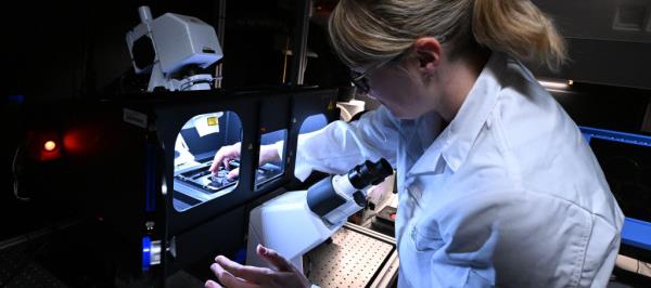 Bild: Forschungs- und Technologiebericht ortet Input-Output-Schere