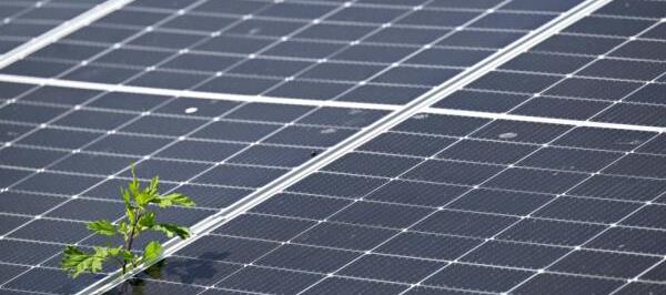 Bild: Knapp 50 Mio. Euro flossen in den zweiten PV-Fördercall