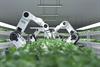 Bild: Top-5-Robotik-Trends 2025
