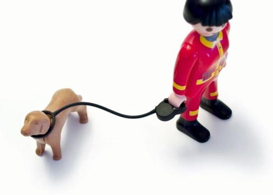 Bild: IV OÖ-Präsident: 