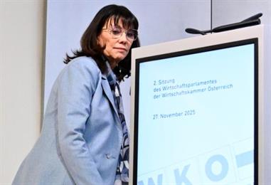 Bild: WKÖ-Schultz will an Pflichtmitgliedschaft festhalten