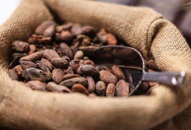 Bild: Schokoladenpreise sollen laut Ritter Sport-Chef steigen