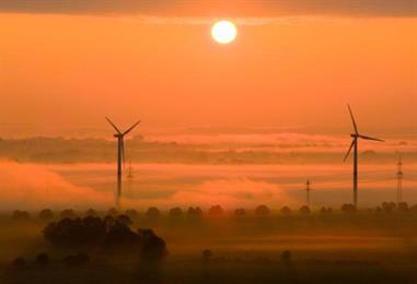 Bild: Deutsche Unternehmen investieren weniger in Klimaschutz