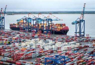 Bild: Zollstreit - Mehrere US-Bundesstaaten gehen gegen Trump vor