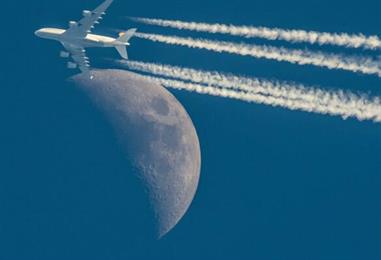 Bild: China will Probleme im Tourismus lösen