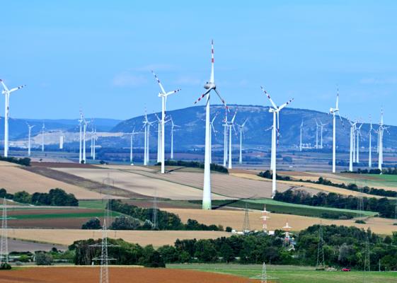 Bild: Zehetner: EU-Initiative für niedrigere Strompreise