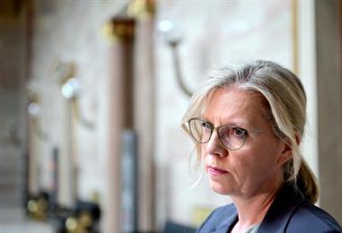 Bild: Grüne ebnen Weg für Beschluss der Spritpreisbremse