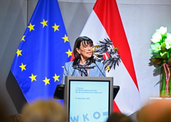 Bild: WKÖ-Schultz fordert EU-Lösungen für niedrigere Energiepreise