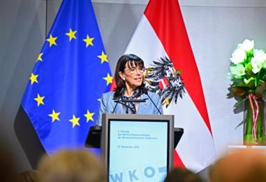 Bild: WKÖ-Schultz fordert EU-Lösungen für niedrigere Energiepreise