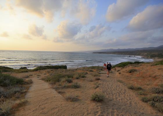 Bild: Tourismus in Griechenland und Zypern spürt Iran-Krise