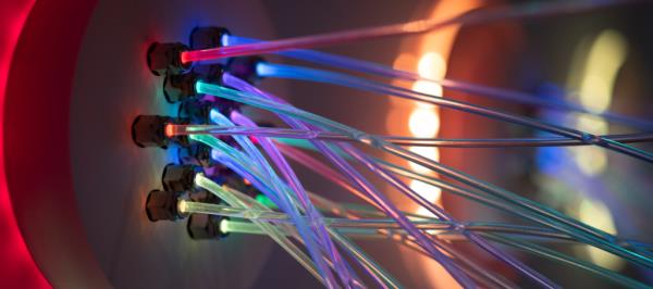 Bild: 224 internationale Unternehmen kamen 2025 nach Wien