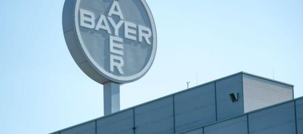 Bild: Glyphosat-Streit - Bayer gewann vor US-Supreme-Court