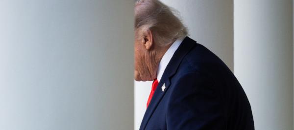 Bild: Wegen Digitalsteuer: Trump droht Europäern mit Zöllen