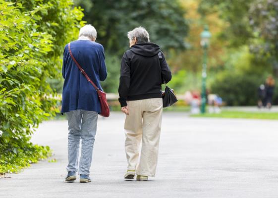 Bild: Regierung zu Reform der privaten Altersvorsorge uneins