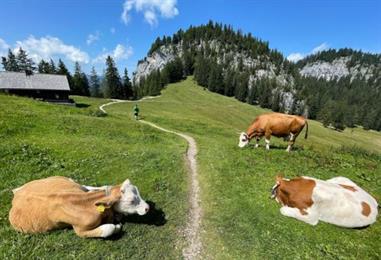 Bild: Wegen Hitze: Totschnig plant Maßnahmen für Landwirtschaft