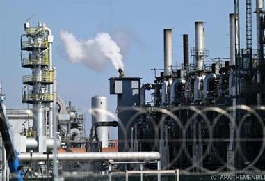 Bild: Wifo-Chef: Steigende Energiepreise treiben wieder Inflation