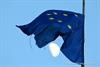 Bild: 