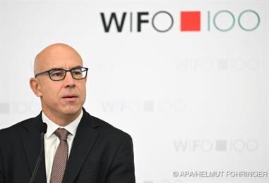 Bild: Wifo-Chef: Mehr Kapitaldeckung bei Altersvorsorge notwendig